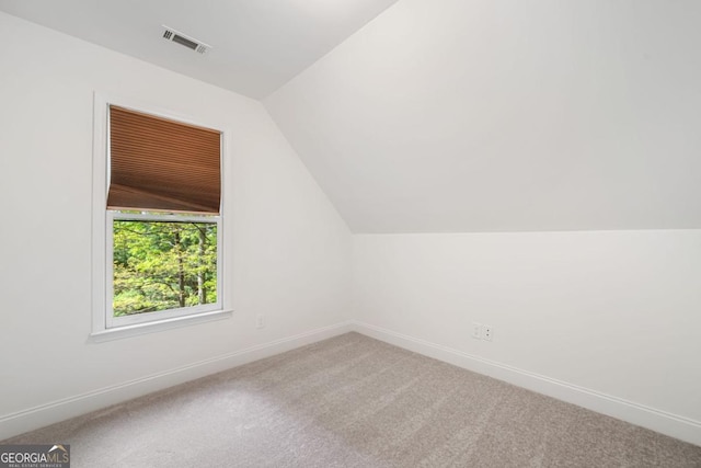 420 Martin Rd, Ellijay, GA 30536 - additional living space featuring baseboards, visible vents, carpet, and vaulted ceiling