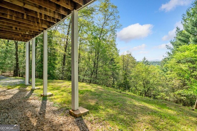 420 Martin Rd, Ellijay, GA 30536 - view of yard with a view of trees