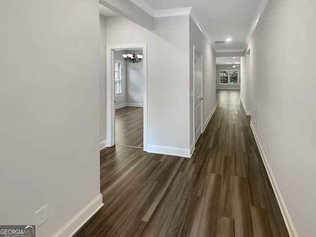 corridor with dark wood-type flooring, ornamental molding, baseboards, and a chandelier