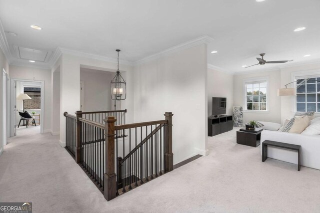walk in closet with dark wood finished floors
