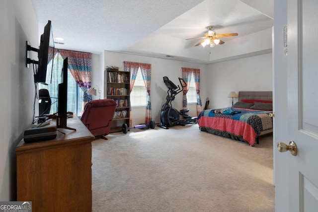 569 Hale Mountain Ct, Hiram, GA 30141 - carpeted bedroom featuring a tray ceiling and ceiling fan