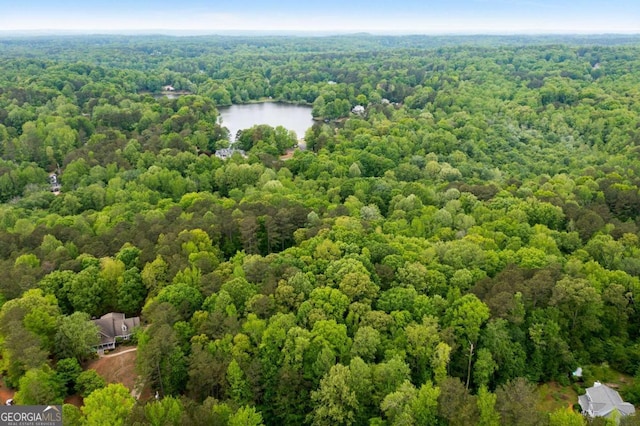 569 Hale Mountain Ct, Hiram, GA 30141 - birds eye view of property with a forest view and a water view