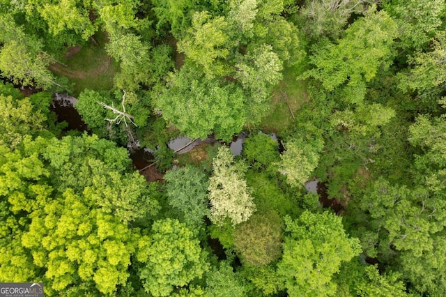 569 Hale Mountain Ct, Hiram, GA 30141 - aerial view