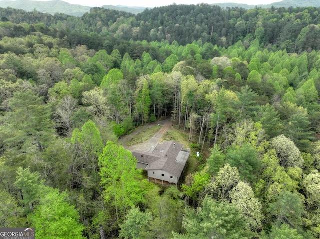 3035 Murphy Hwy, Mineral Bluff, GA 30559 - bird's eye view with a forest view