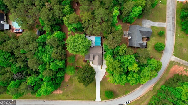 bird's eye view