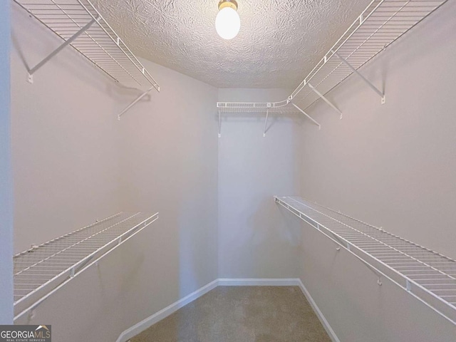 spacious closet featuring carpet flooring