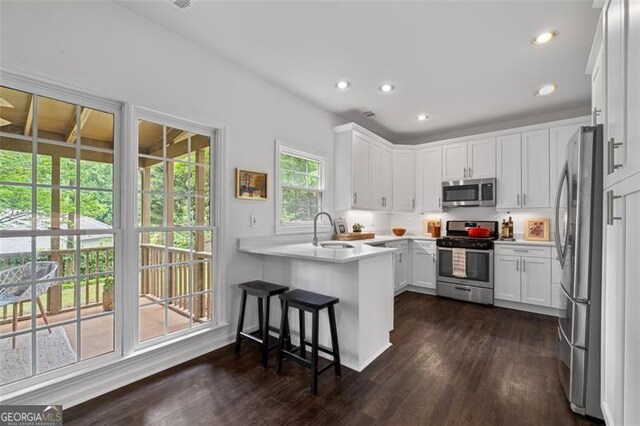 kitchen with stainless steel appliances, dark wood-style floors, a sink, and a peninsula