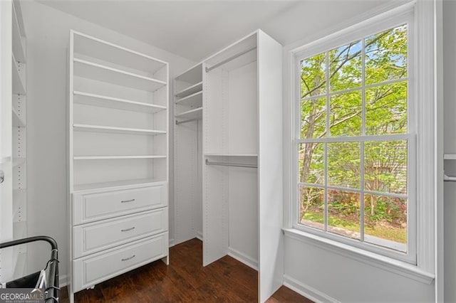 walk in closet featuring dark wood finished floors