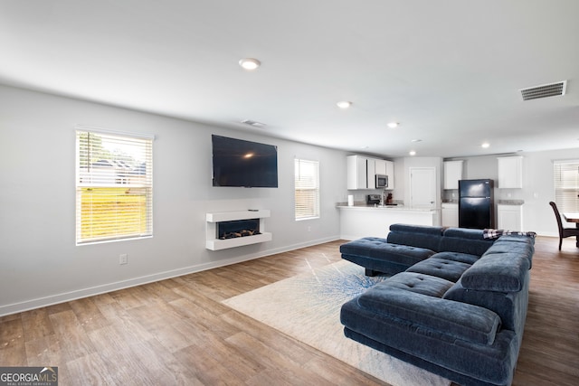1341 Midnight Ride Ct, Hampton, GA 30228 - living area featuring plenty of natural light, wood finished floors, and visible vents