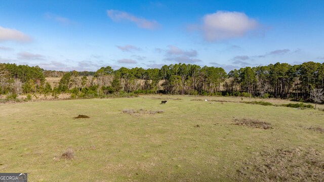0 Lost Rd, Arabi, GA 31712