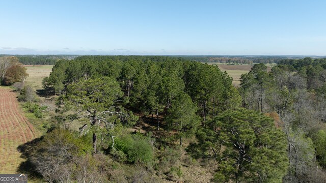 0 Lost Rd, Arabi, GA 31712