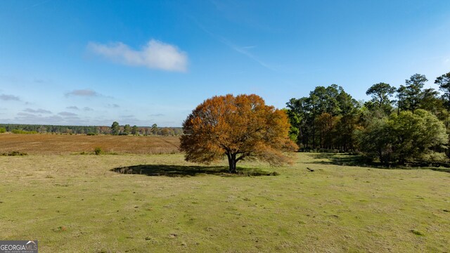 0 Lost Rd, Arabi, GA 31712