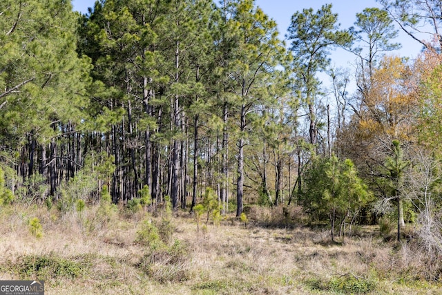 0 Lost Rd, Arabi, GA 31712