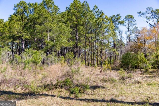 0 Lost Rd, Arabi, GA 31712