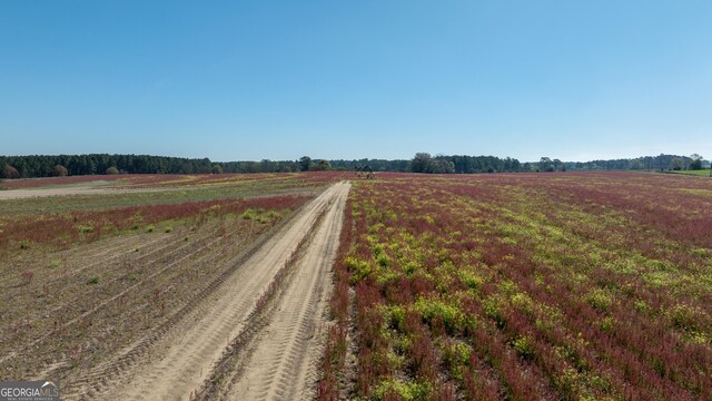 0 Lost Rd, Arabi, GA 31712