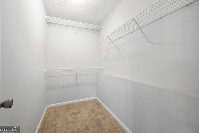 spacious closet with carpet flooring