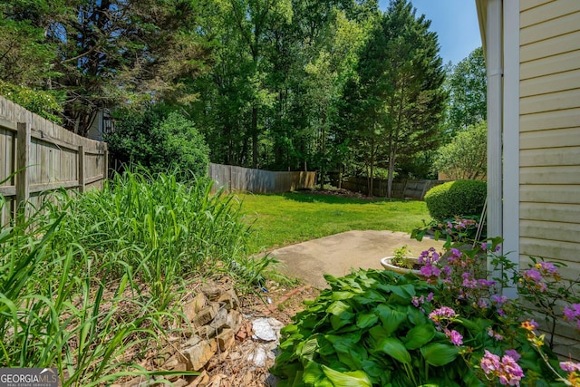 view of yard featuring a patio