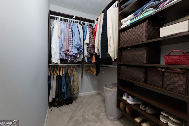 spacious closet with carpet floors