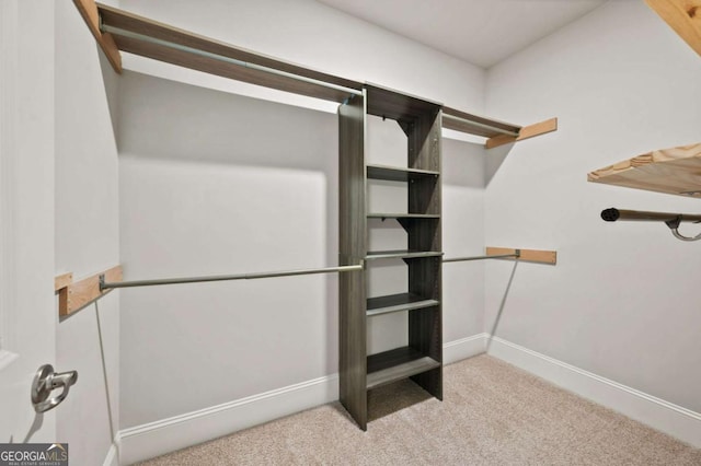 spacious closet with carpet flooring