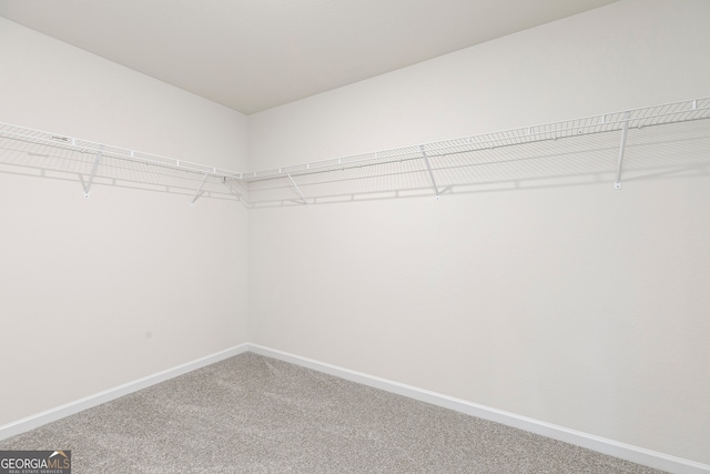 walk in closet with carpet