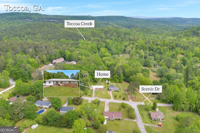 415 Scenic Dr, Toccoa, GA 30577 - aerial view with a view of trees and a mountain view