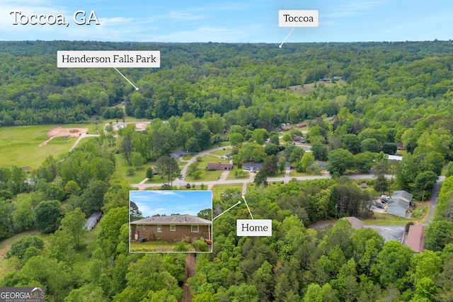 415 Scenic Dr, Toccoa, GA 30577 - bird's eye view of a forest