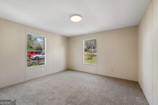 carpeted spare room featuring a wealth of natural light