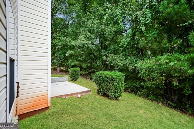 view of yard featuring a patio