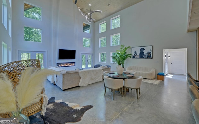 280 Hidden Point Rd, Hartwell, GA 30643 - living area featuring a healthy amount of sunlight, french doors, concrete floors, and a towering ceiling