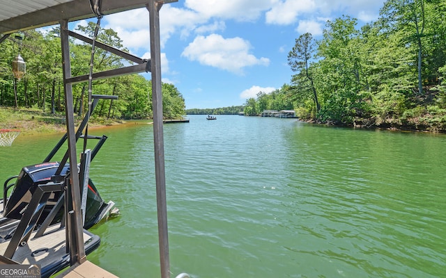 280 Hidden Point Rd, Hartwell, GA 30643 - dock area with a water view