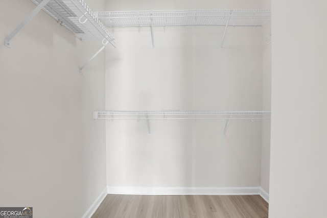 spacious closet with wood finished floors