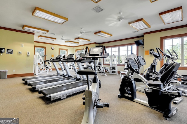 workout area featuring a ceiling fan, a healthy amount of sunlight, and carpet