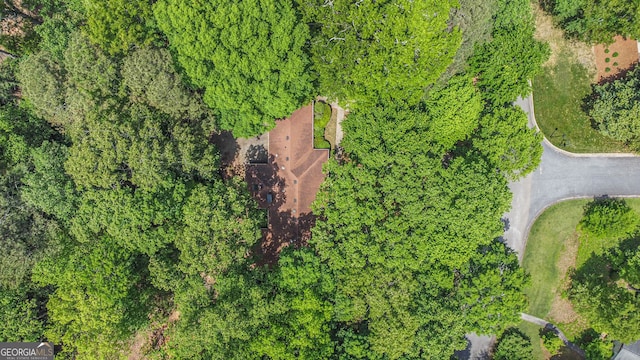 aerial view
