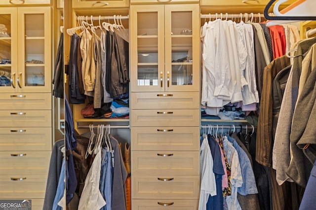 view of closet