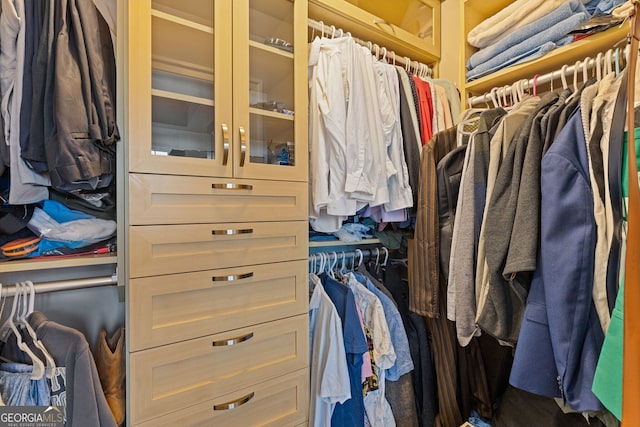 view of spacious closet