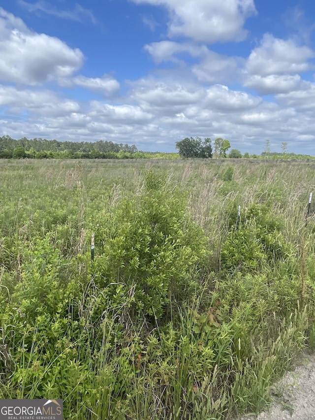 0 Carl Cravey Rd Lot 1, Hazlehurst, GA 31539