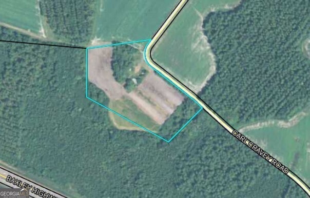 0 Carl Cravey Rd Lot 1, Hazlehurst, GA 31539