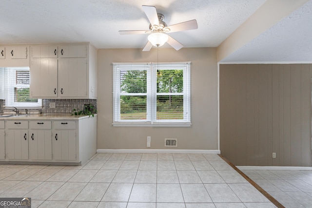 kitchen with a ceiling fan, a textured ceiling, and plenty of natural light