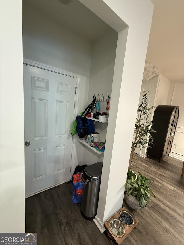 mudroom featuring dark wood-style flooring
