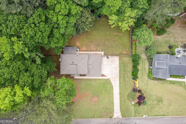 bird's eye view