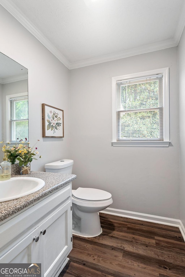 bathroom with ornamental molding, wood finished floors, and vanity