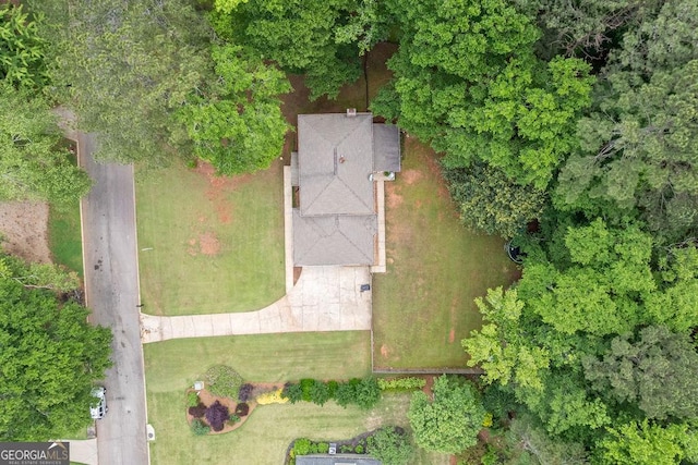 bird's eye view