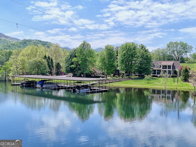 water view featuring a boat dock