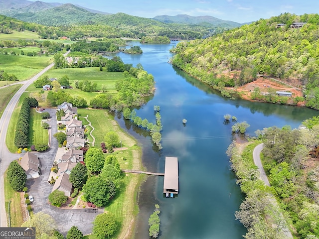 bird's eye view featuring a water and mountain view and a forest view