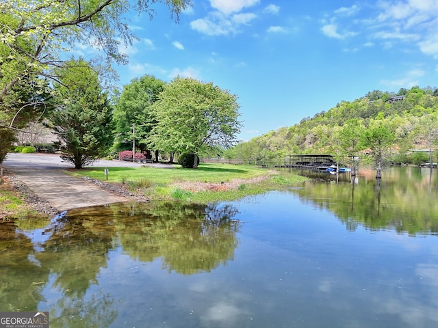 property view of water