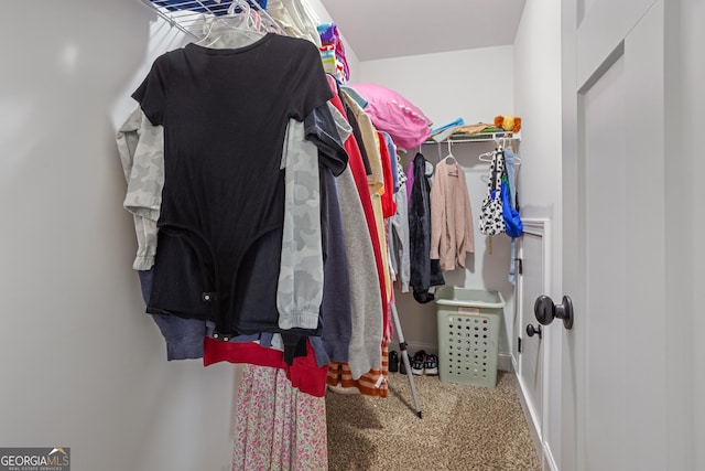 spacious closet with carpet