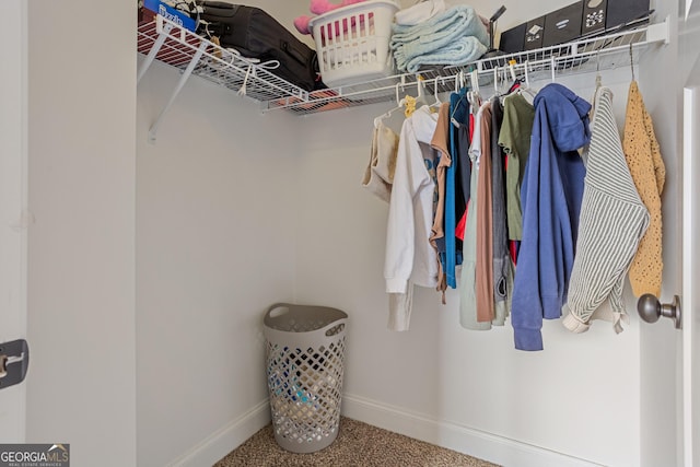 spacious closet featuring carpet floors