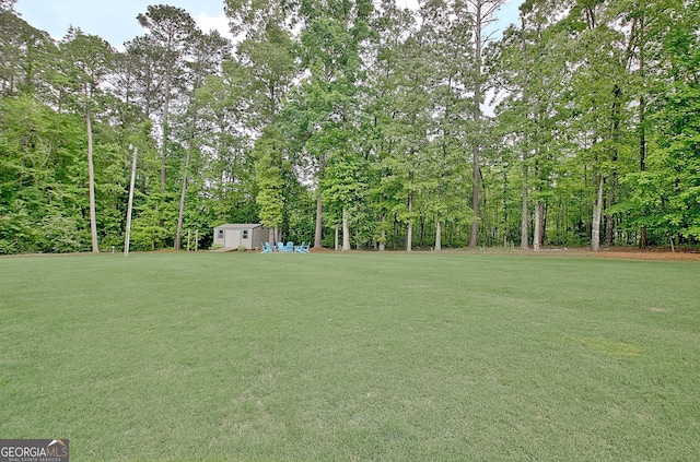 view of yard featuring a storage unit and an outbuilding