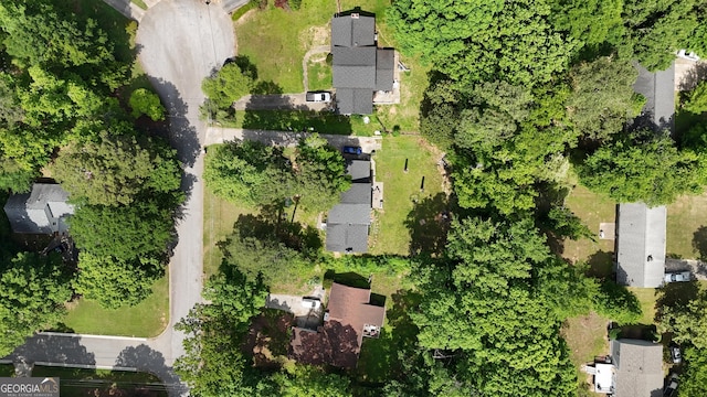 bird's eye view