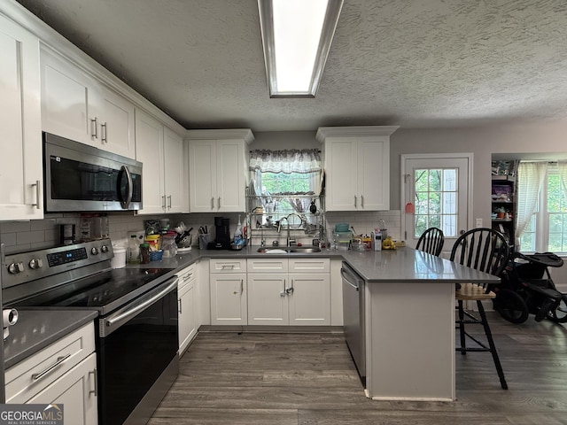 kitchen featuring a sink, a peninsula, a wealth of natural light, and stainless steel appliances